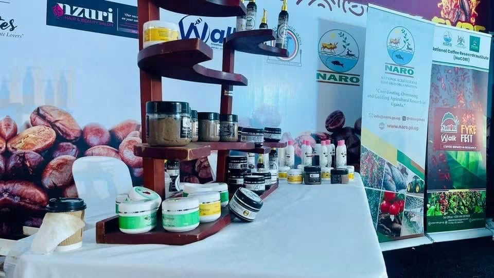 Coffee processing equipment
